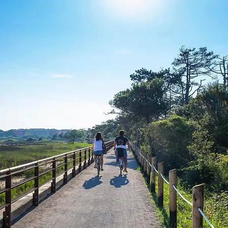 Sporting * Бибионе