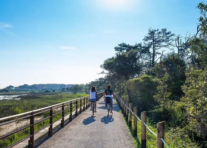 Sporting * 비비오네