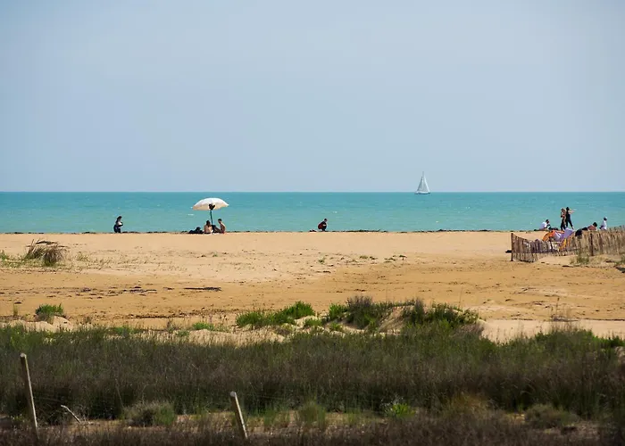 Sporting * 비비오네